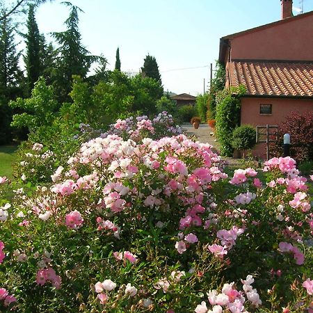 Sant'Alberto Campiglia d'Orcia Bagian luar foto