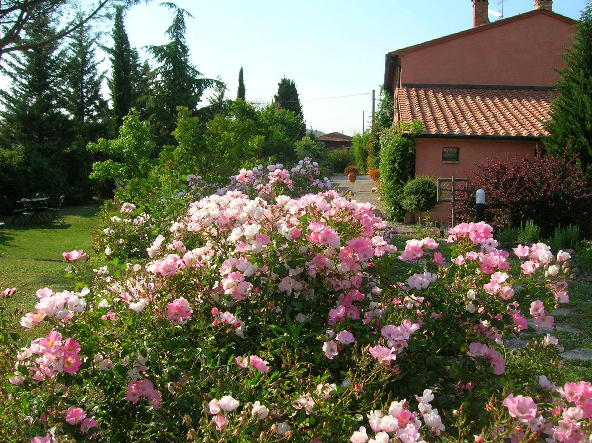 Sant'Alberto Campiglia d'Orcia Bagian luar foto